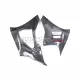 Yamaha YZF-R7 2021-2025 Carbon Fiber Belly Pan