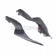 Yamaha YZF-R7 2021-2025 Carbon Fiber Rear Seat Side Panel Yamaha YZF-R7 2021-2025 Carbon Fiber Rear Seat Side Panel