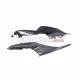 Yamaha YZF-R7 2021-2025 Carbon Fiber Rear Seat Side Panel Yamaha YZF-R7 2021-2025 Carbon Fiber Rear Seat Side Panel