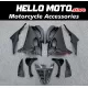 Aprilia RS457 2024-2026 Fairing P/N 7K5