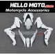 Aprilia RSV4 2009-2015 Fairing P/N 7D10