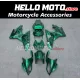 BMW S1000RR 2009-2014 Fairing P/N 5A17
