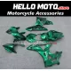 BMW S1000RR 2009-2014 Fairing P/N 5A17