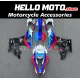 BMW S1000RR 2009-2014 Fairing P/N 5A18