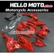 BMW S1000RR 2015-2016 Fairing P/N 5B4