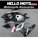 BMW S1000RR 2015-2016 Fairing P/N 5B25
