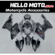 BMW S1000RR 2015-2016 Fairing P/N 5B30