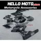BMW S1000RR 2015-2016 Fairing P/N 5B30