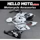 BMW S1000RR 2015-2016 Fairing P/N 5B31