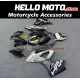 BMW S1000RR 2017-2018 Fairing P/N 5C8 BMW S1000RR 2017-2018 Fairing P/N 5C8