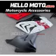 BMW S1000RR 2017-2018 Fairing P/N 5C9