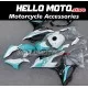 BMW S1000RR/M1000RR 2019-2022 Fairing P/N 5D8