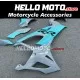 BMW S1000RR/M1000RR 2019-2022 Fairing P/N 5D36