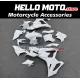 BMW S1000RR 2025-2026 Fairing P/N 5H10