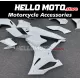 BMW S1000RR 2025-2026 Fairing P/N 5H10