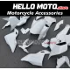BMW S1000RR 2025-2026 Fairing P/N 5H10