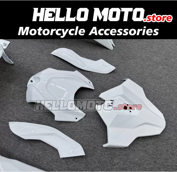 BMW S1000RR 2025-2026 Fairing P/N 5H10