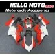 Ducati Panigale V4/S/SP/R 2020-2022 Fairing P/N 6K19