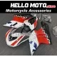 Ducati Superbike 848/1098/1198 2007-2012 Fairing P/N 6D7
