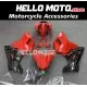 Ducati Superbike 848/1098/1198 2007-2012 Fairing P/N 6D10