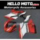 Ducati Superbike 899/1199 2012-2014 Fairing P/N 6E2