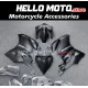 Ducati Superbike 899/1199 2012-2014 Fairing P/N 6E9