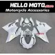 Ducati Superbike 899/1199 2012-2014 Fairing P/N 6E11 Ducati Superbike 899/1199 2012-2014 Fairing P/N 6E11