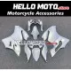 Ducati Superbike 899/1199 2012-2014 Fairing P/N 6E11 Ducati Superbike 899/1199 2012-2014 Fairing P/N 6E11