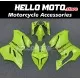Ducati Superbike 899/1199 2012-2014 Fairing P/N 6E12