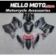 Ducati Superbike 899/1199 2012-2014 Fairing P/N 6E19