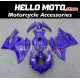 Ducati Superbike 899/1199 2012-2014 Fairing P/N 6E15