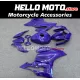 Ducati Superbike 899/1199 2012-2014 Fairing P/N 6E15