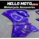 Ducati Superbike 899/1199 2012-2014 Fairing P/N 6E15