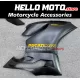 Ducati Superbike 899/1199 2012-2014 Fairing P/N 6E20