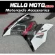 Ducati Superbike 899/1199 2012-2014 Fairing P/N 6E17 Ducati Superbike 899/1199 2012-2014 Fairing P/N 6E17