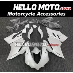 Ducati Superbike 959/1299 2015-2018 Fairing P/N 6F1