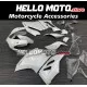 Ducati Superbike 959/1299 2015-2018 Fairing P/N 6F1