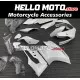 Ducati Superbike 959/1299 2015-2018 Fairing P/N 6F1