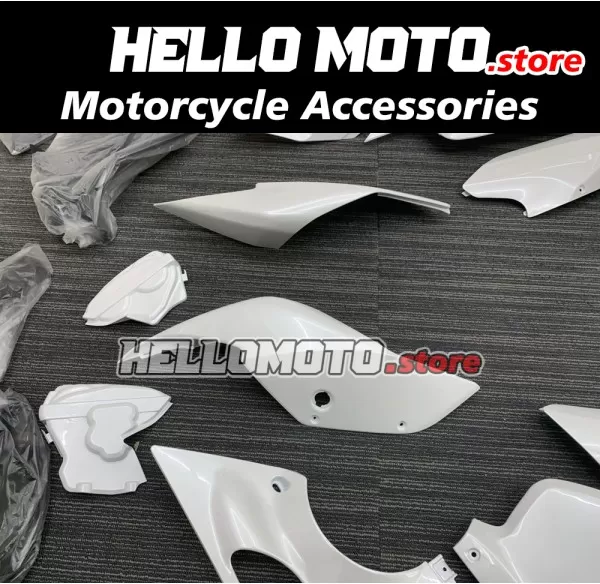 Ducati Superbike 959/1299 2015-2018 Fairing P/N 6F1