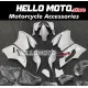 Ducati Superbike 959/1299 2015-2018 Fairing P/N 6F1