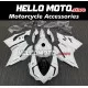 Ducati Superbike 959/1299 2015-2018 Fairing P/N 6F2