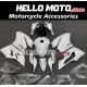 Ducati Superbike 959/1299 2015-2018 Fairing P/N 6F4 Ducati Superbike 959/1299 2015-2018 Fairing P/N 6F4