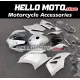 Ducati Superbike 959/1299 2015-2018 Fairing P/N 6F4 Ducati Superbike 959/1299 2015-2018 Fairing P/N 6F4