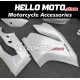 Ducati Superbike 959/1299 2015-2018 Fairing P/N 6F4 Ducati Superbike 959/1299 2015-2018 Fairing P/N 6F4