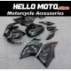 Ducati Superbike 959/1299 2015-2018 Fairing P/N 6F6