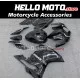 Ducati Superbike 959/1299 2015-2018 Fairing P/N 6F6