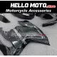 Ducati Superbike 959/1299 2015-2018 Fairing P/N 6F6