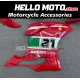 Ducati Superbike 959/1299 2015-2018 Fairing P/N 6F13
