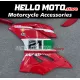 Ducati Superbike 959/1299 2015-2018 Fairing P/N 6F13