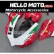 Ducati Superbike 959/1299 2015-2018 Fairing P/N 6F13
